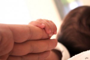 2776269245_31da648d35_z